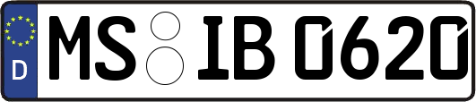 MS-IB0620