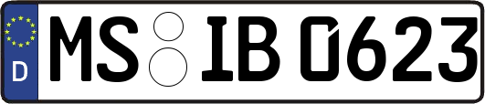 MS-IB0623
