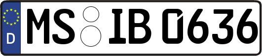 MS-IB0636