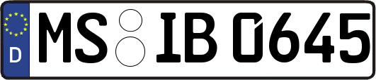 MS-IB0645