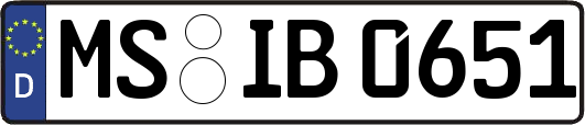 MS-IB0651