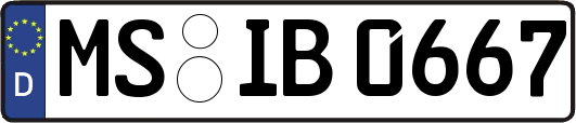 MS-IB0667