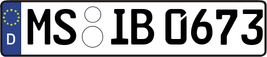 MS-IB0673
