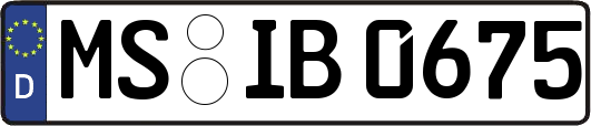 MS-IB0675