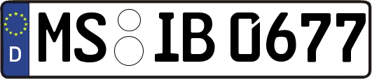 MS-IB0677