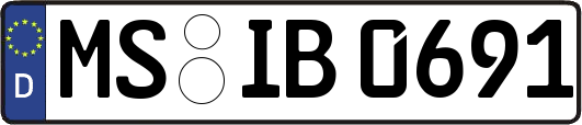 MS-IB0691