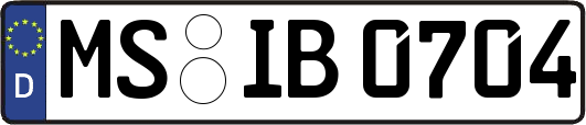 MS-IB0704