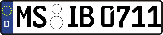 MS-IB0711