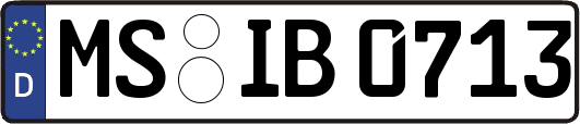 MS-IB0713