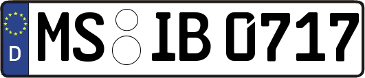 MS-IB0717