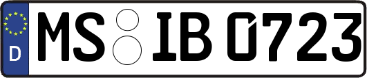 MS-IB0723