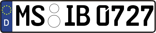 MS-IB0727