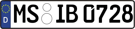 MS-IB0728