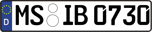 MS-IB0730