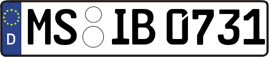 MS-IB0731