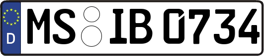 MS-IB0734