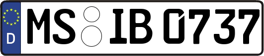 MS-IB0737