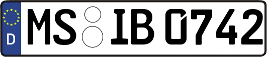 MS-IB0742