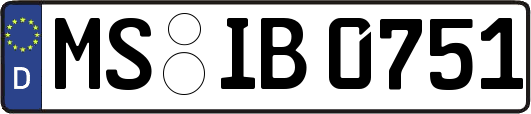 MS-IB0751