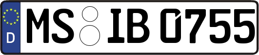 MS-IB0755