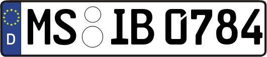 MS-IB0784