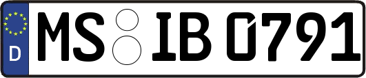 MS-IB0791