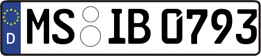 MS-IB0793