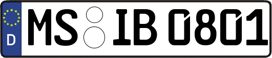 MS-IB0801