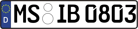 MS-IB0803