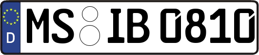 MS-IB0810
