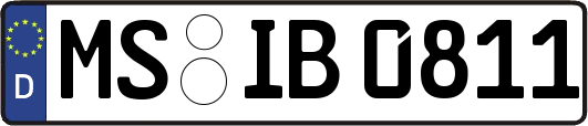MS-IB0811