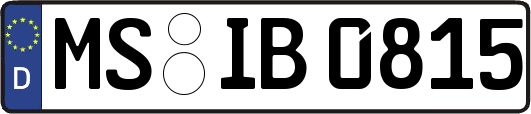 MS-IB0815