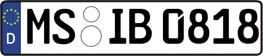 MS-IB0818