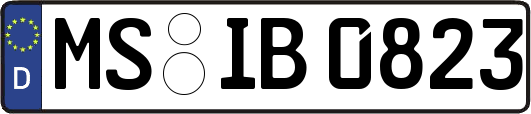 MS-IB0823