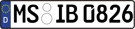 MS-IB0826