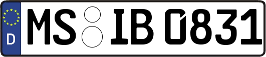 MS-IB0831