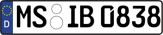 MS-IB0838