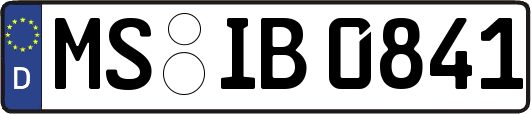 MS-IB0841