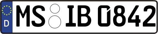 MS-IB0842