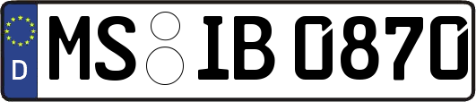 MS-IB0870