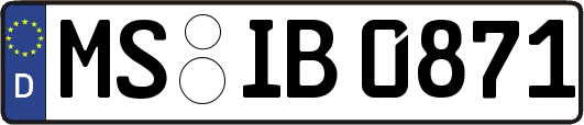 MS-IB0871
