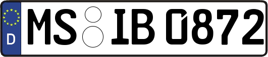 MS-IB0872