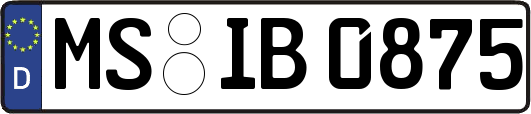 MS-IB0875