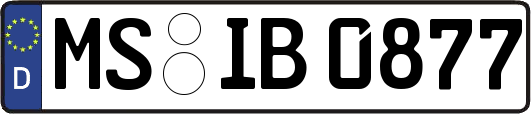 MS-IB0877