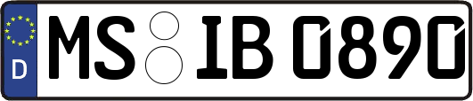 MS-IB0890