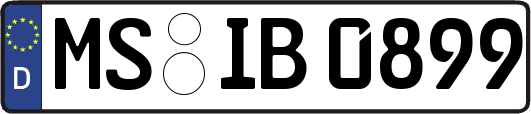 MS-IB0899