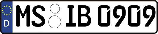 MS-IB0909