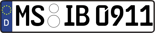 MS-IB0911
