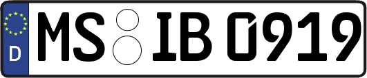 MS-IB0919