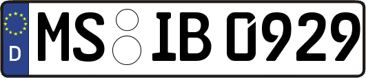 MS-IB0929
